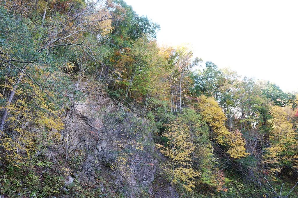 falling-spring-falls-nature